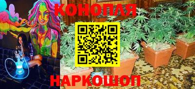 ГАЛЛЮЦИНОГЕННЫЕ ГРИБЫ Мариинск