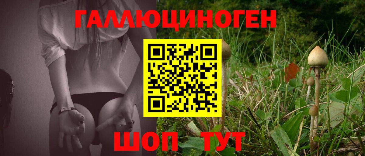 Псилоцибиновые грибы мухоморы Юрга